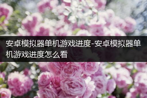 安卓模拟器单机游戏进度-安卓模拟器单机游戏进度怎么看