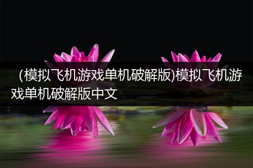 （模拟飞机游戏单机破解版)模拟飞机游戏单机破解版中文