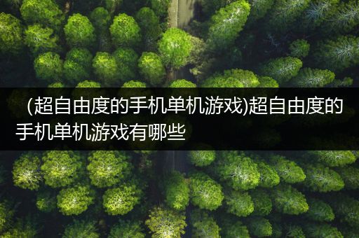 （超自由度的手机单机游戏)超自由度的手机单机游戏有哪些