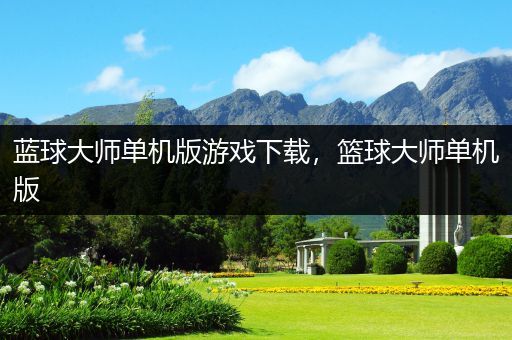 蓝球大师单机版游戏下载，篮球大师单机版