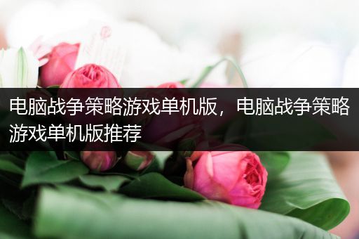 电脑战争策略游戏单机版，电脑战争策略游戏单机版推荐