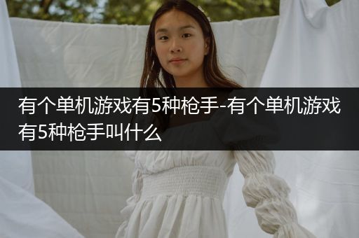 有个单机游戏有5种枪手-有个单机游戏有5种枪手叫什么