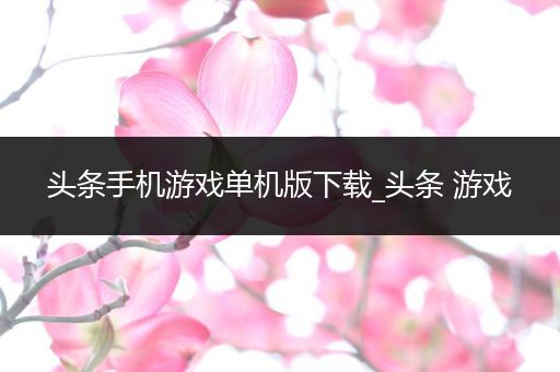 头条手机游戏单机版下载_头条 游戏