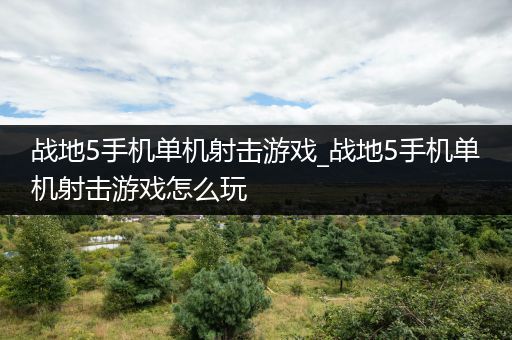 战地5手机单机射击游戏_战地5手机单机射击游戏怎么玩