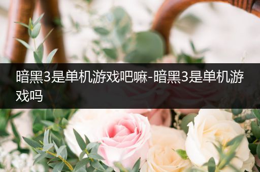 暗黑3是单机游戏吧嘛-暗黑3是单机游戏吗