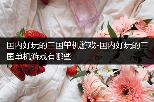 国内好玩的三国单机游戏-国内好玩的三国单机游戏有哪些