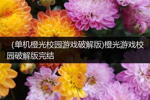 （单机橙光校园游戏破解版)橙光游戏校园破解版完结
