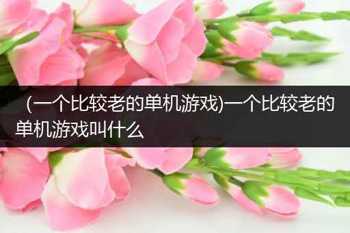（一个比较老的单机游戏)一个比较老的单机游戏叫什么