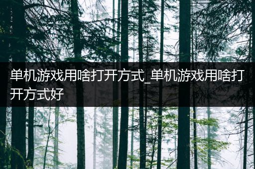 单机游戏用啥打开方式_单机游戏用啥打开方式好