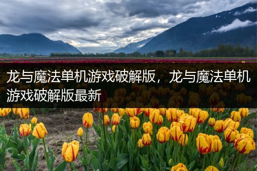龙与魔法单机游戏破解版，龙与魔法单机游戏破解版最新