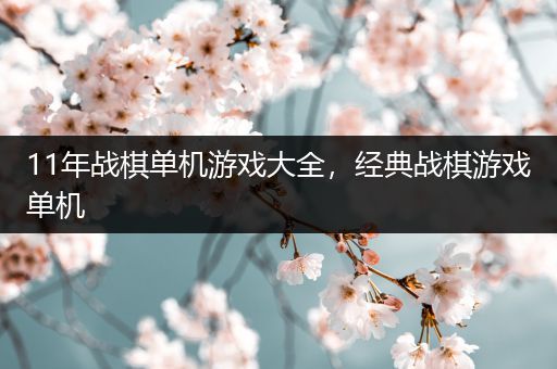 11年战棋单机游戏大全，经典战棋游戏单机