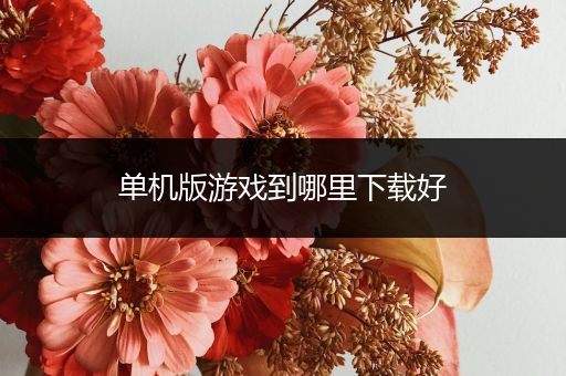 单机版游戏到哪里下载好