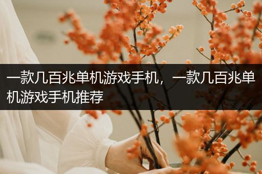 一款几百兆单机游戏手机，一款几百兆单机游戏手机推荐