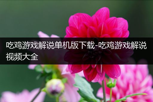 吃鸡游戏解说单机版下载-吃鸡游戏解说视频大全