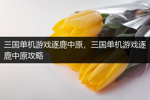 三国单机游戏逐鹿中原，三国单机游戏逐鹿中原攻略