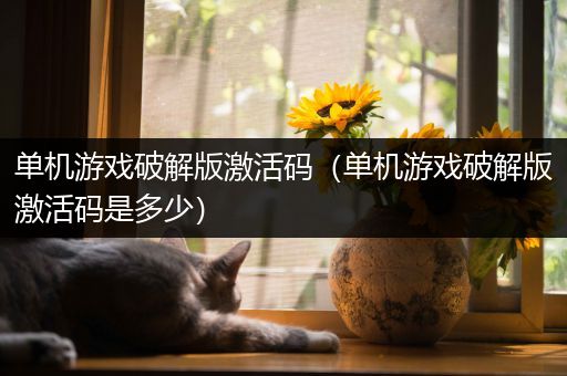 单机游戏破解版激活码（单机游戏破解版激活码是多少）