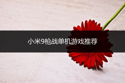 小米9枪战单机游戏推荐