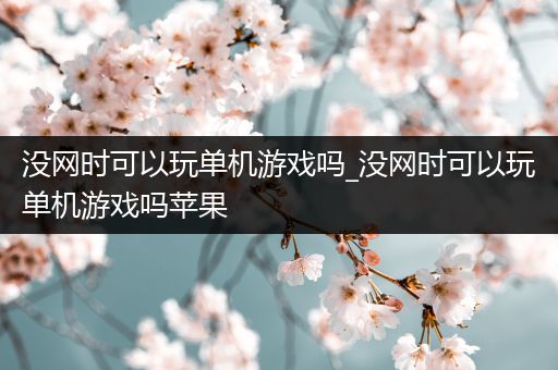 没网时可以玩单机游戏吗_没网时可以玩单机游戏吗苹果