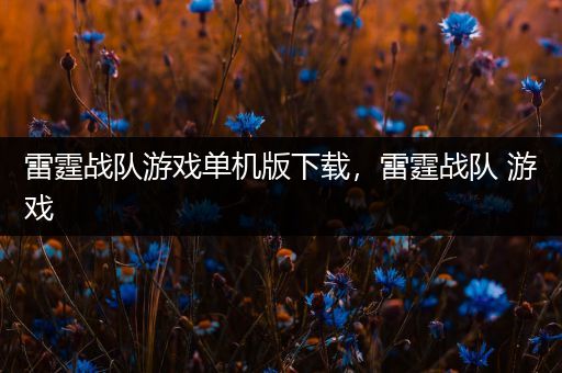 雷霆战队游戏单机版下载，雷霆战队 游戏