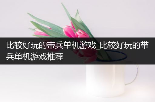 比较好玩的带兵单机游戏_比较好玩的带兵单机游戏推荐