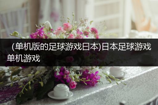 （单机版的足球游戏曰本)日本足球游戏单机游戏