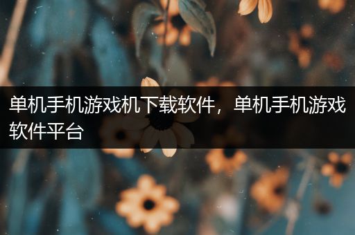 单机手机游戏机下载软件，单机手机游戏软件平台