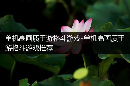 单机高画质手游格斗游戏-单机高画质手游格斗游戏推荐