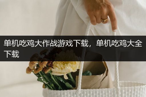 单机吃鸡大作战游戏下载，单机吃鸡大全下载