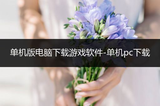 单机版电脑下载游戏软件-单机pc下载
