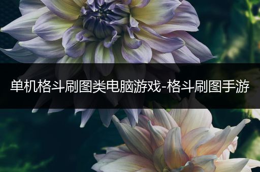 单机格斗刷图类电脑游戏-格斗刷图手游