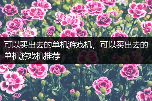 可以买出去的单机游戏机，可以买出去的单机游戏机推荐