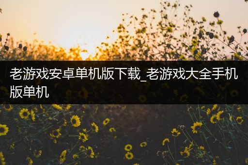 老游戏安卓单机版下载_老游戏大全手机版单机