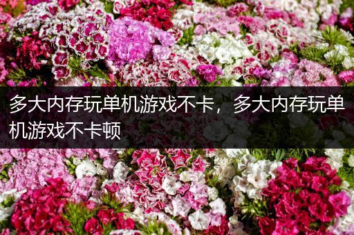 多大内存玩单机游戏不卡，多大内存玩单机游戏不卡顿