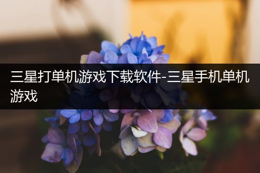 三星打单机游戏下载软件-三星手机单机游戏