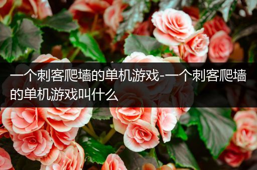 一个刺客爬墙的单机游戏-一个刺客爬墙的单机游戏叫什么