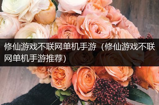修仙游戏不联网单机手游（修仙游戏不联网单机手游推荐）
