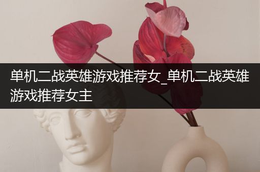 单机二战英雄游戏推荐女_单机二战英雄游戏推荐女主