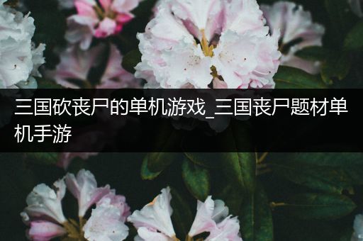 三国砍丧尸的单机游戏_三国丧尸题材单机手游