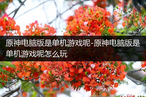 原神电脑版是单机游戏呢-原神电脑版是单机游戏呢怎么玩