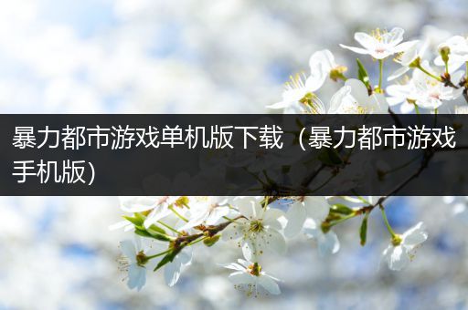 暴力都市游戏单机版下载（暴力都市游戏手机版）