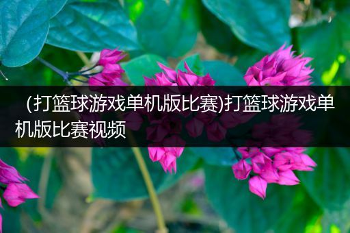 （打篮球游戏单机版比赛)打篮球游戏单机版比赛视频