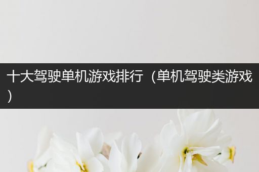 十大驾驶单机游戏排行（单机驾驶类游戏）