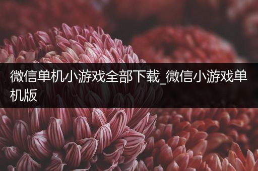 微信单机小游戏全部下载_微信小游戏单机版