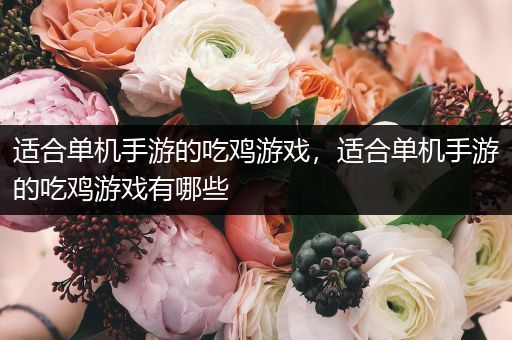 适合单机手游的吃鸡游戏，适合单机手游的吃鸡游戏有哪些