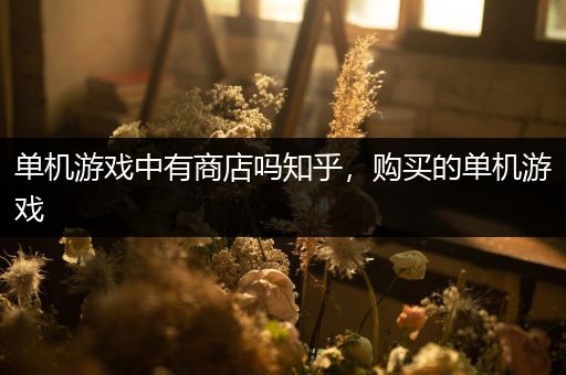 单机游戏中有商店吗知乎，购买的单机游戏