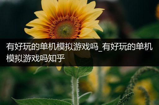 有好玩的单机模拟游戏吗_有好玩的单机模拟游戏吗知乎