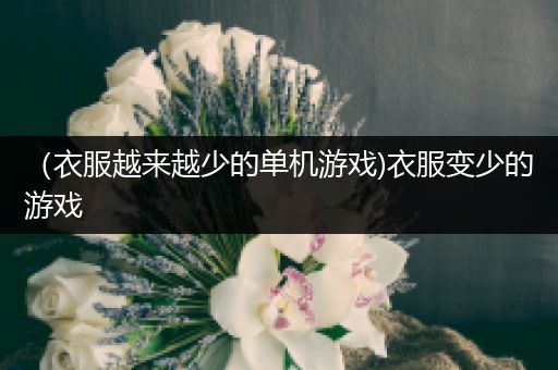 （衣服越来越少的单机游戏)衣服变少的游戏