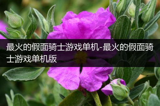 最火的假面骑士游戏单机-最火的假面骑士游戏单机版