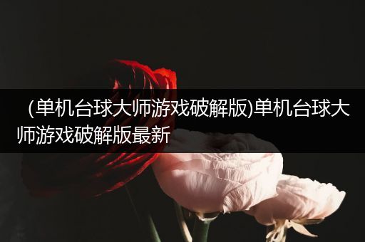 （单机台球大师游戏破解版)单机台球大师游戏破解版最新