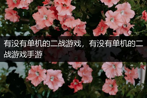 有没有单机的二战游戏，有没有单机的二战游戏手游
